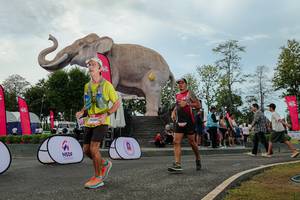 BIB: 
                            <button type="button" onclick="openModal(26528911)" class="btn btn-primary btn-sm float-right btn-popup" data-toggle="modal" data-target=".modal-high-quality">
                        <i class="fas fa-shopping-cart"></i> Add to Cart
                    </button>
                                            <button type="button" onclick="isThisMe(26528911, true)" class="btn btn-success btn-sm float-right btn-popup btn-isme hidden" data-toggle="tooltip" data-placement="bottom" title="นี่คือรูปของคุณใช่ไหม คลิกที่นี่เพื่อเอาเข้าอัลบั้ม">
                        <i class="fas fa-plus"></i> Add to album
                    </button>
                    <button type="button" onclick="isThisMe(26528911, false)" class="btn btn-warning btn-sm float-right btn-popup btn-isnotme hidden">
                        <i class="fas fa-ban"></i> Remove from album
                    </button>